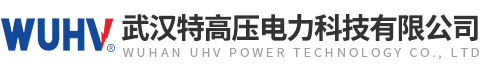 武漢特高壓電力科技有限公司